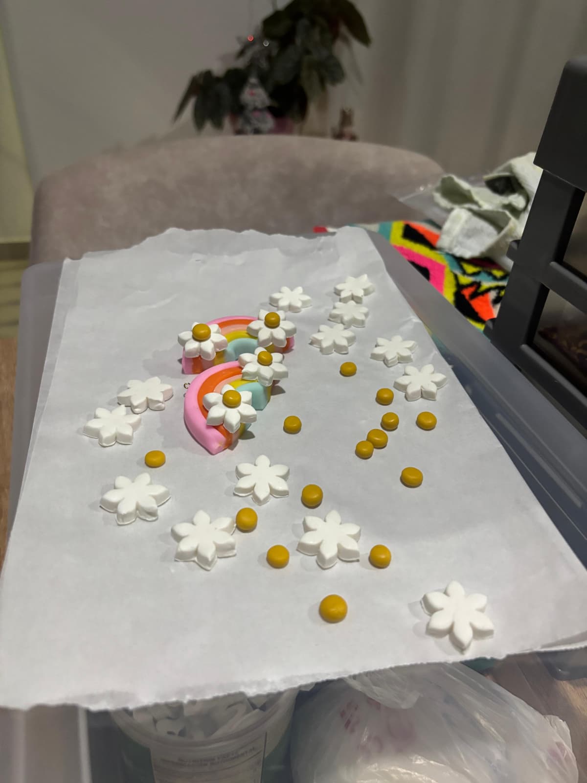 Proceso de creación